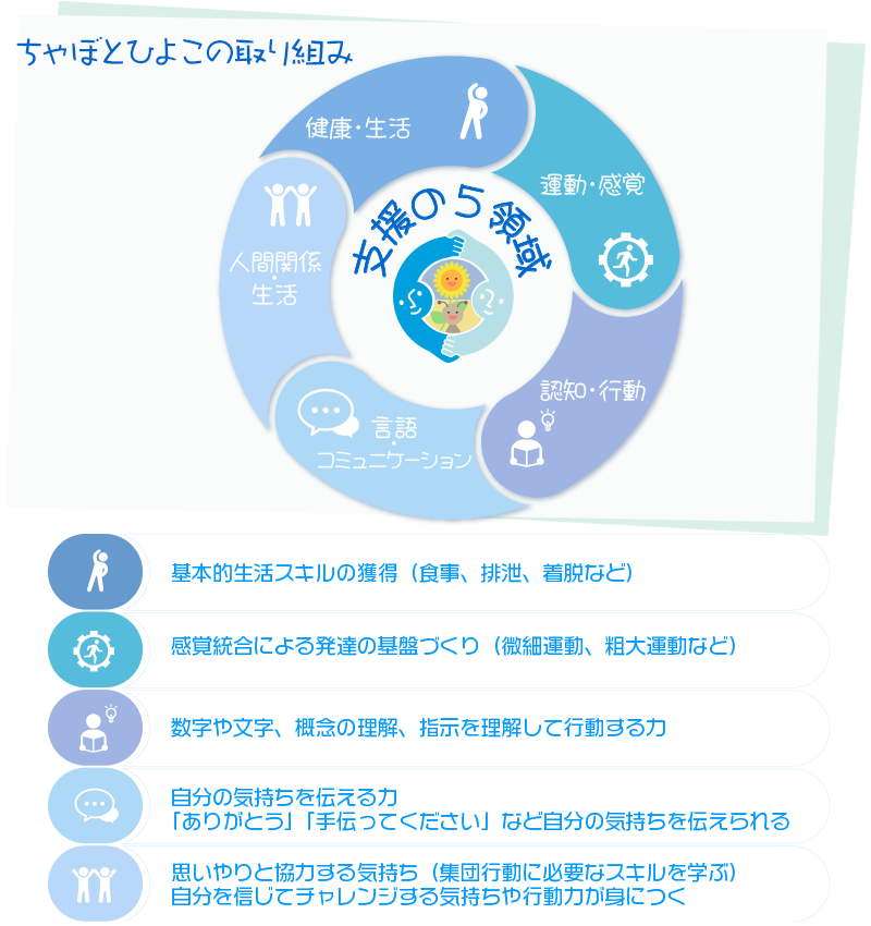 5領域