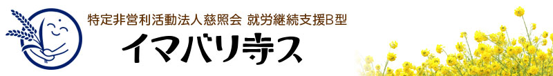 イマバリ寺ス