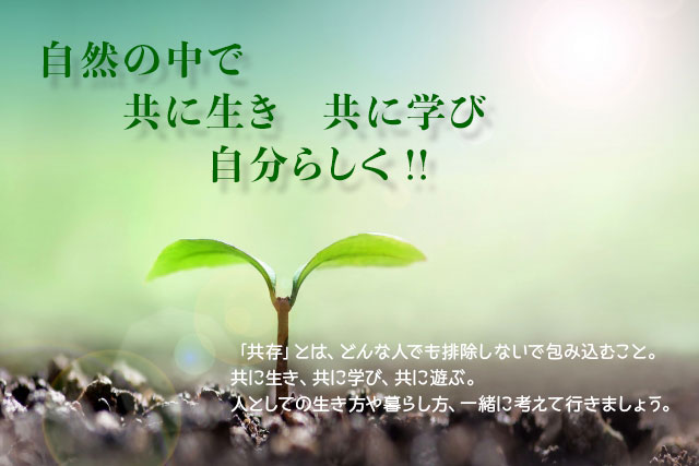 ちゃぼとひよこ